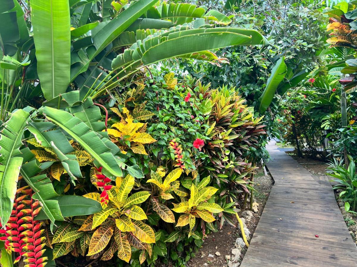 Jamaica Colors Hotel And Eco-Retreat Port Antonio Dış mekan fotoğraf