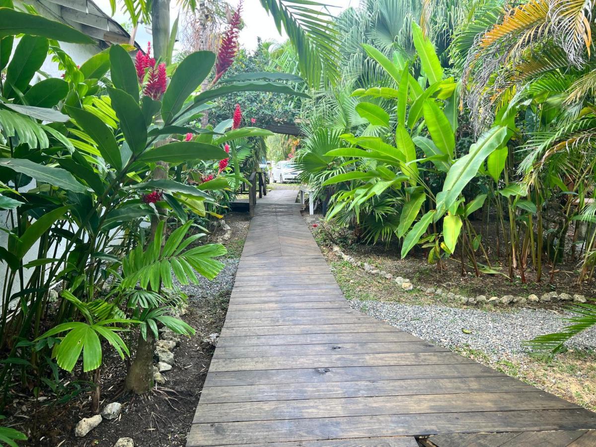 Jamaica Colors Hotel And Eco-Retreat Port Antonio Dış mekan fotoğraf
