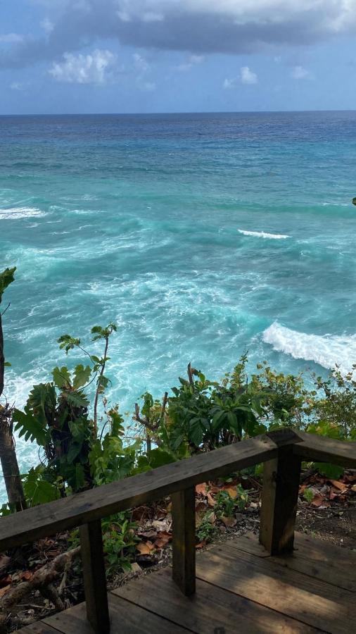 Jamaica Colors Hotel And Eco-Retreat Port Antonio Dış mekan fotoğraf